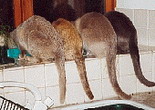 bottoms up