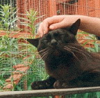 Brynbach loves a bit of fuss