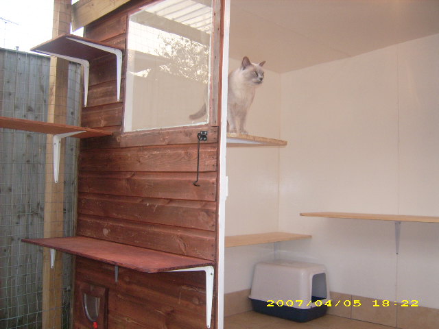 inside stud house